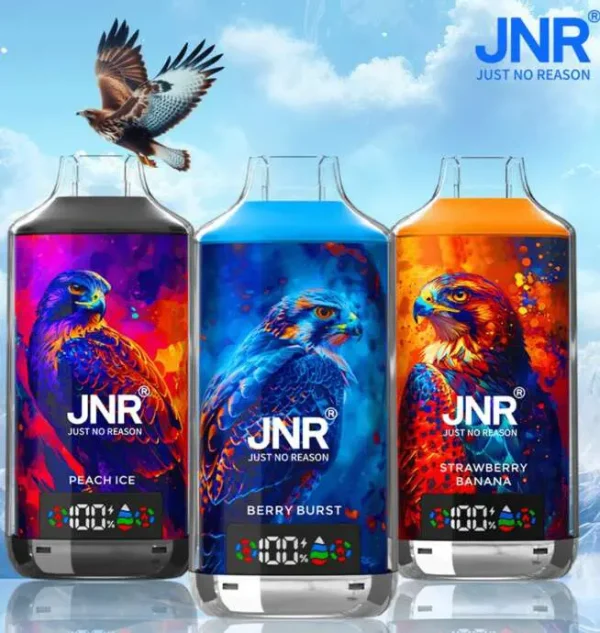 JNR Falcon X 18K (18000) Puffs LED Display 2% Nicotine 24ml E-liquid Disposable Vape