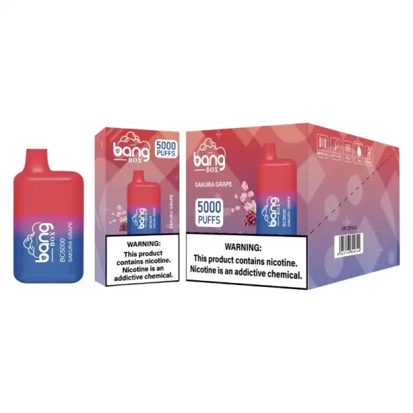 Bang Box BC 5K(5000) Puffs 2% 5% Nicotine 13ml E-liquid Type C Charging Disposable Vape Pen