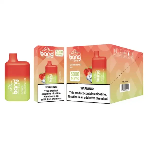 Bang Box BC 5K(5000) Puffs 2% 5% Nicotine 13ml E-liquid Type C Charging Disposable Vape Pen