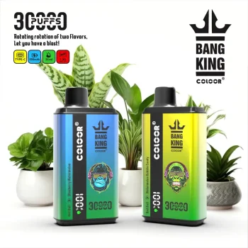 Home 34 Bang King 30K(30000) Puffs New Double Flavor 0% 2% 3% 5% Nicotine LED Digital Display 36ml E-liquid Disposable Vape