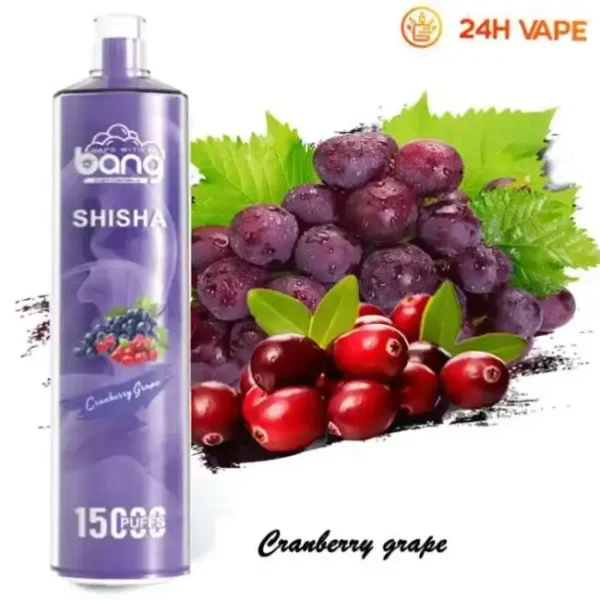 Bang SHISHA 15K(15000) Puffs 0% 2% 3% 5% Nicotine 600mAh Battery 23ml Oil Disposable Vape Pen
