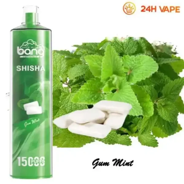 Bang SHISHA 15K(15000) Puffs 0% 2% 3% 5% Nicotine 600mAh Battery 23ml Oil Disposable Vape Pen