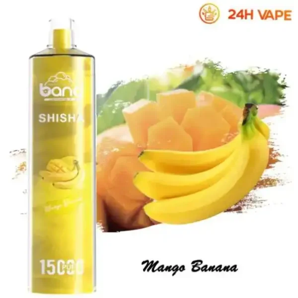 Bang SHISHA 15K(15000) Puffs 0% 2% 3% 5% Nicotine 600mAh Battery 23ml Oil Disposable Vape Pen