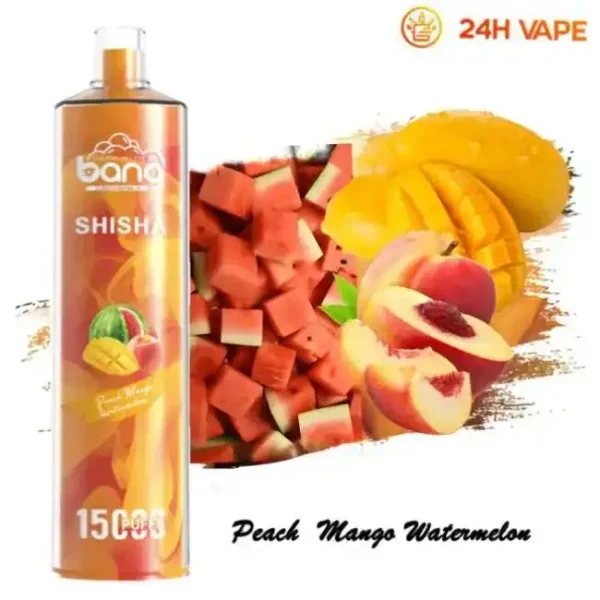 Bang SHISHA 15K(15000) Puffs 0% 2% 3% 5% Nicotine 600mAh Battery 23ml Oil Disposable Vape Pen