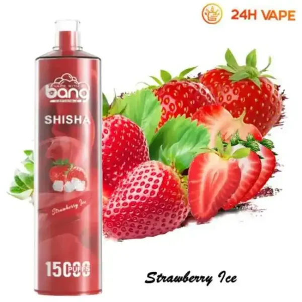 Bang SHISHA 15K(15000) Puffs 0% 2% 3% 5% Nicotine 600mAh Battery 23ml Oil Disposable Vape Pen