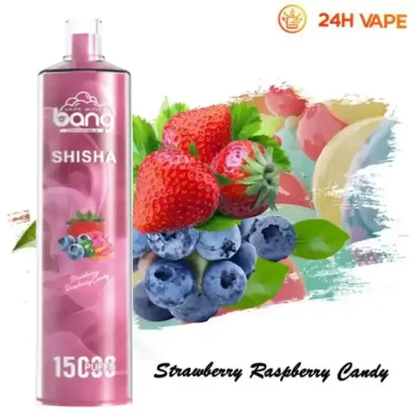 Bang SHISHA 15K(15000) Puffs 0% 2% 3% 5% Nicotine 600mAh Battery 23ml Oil Disposable Vape Pen