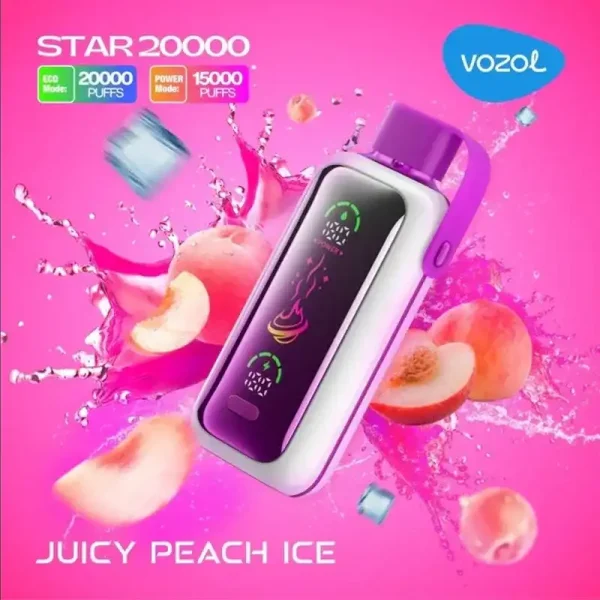 Vozol Star 20K (20000) Puffs Full Screen Display 24mL E-liquid 2% 5% Nicotine Type-C Charging Disposable Vape