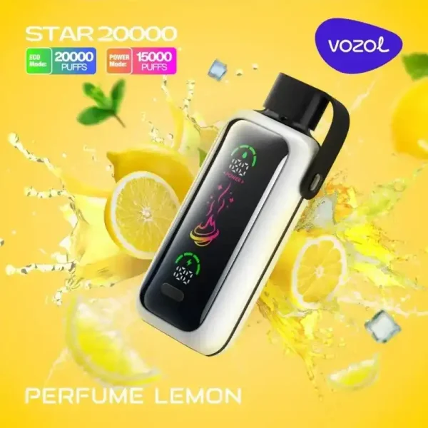 Vozol Star 20K (20000) Puffs Full Screen Display 24mL E-liquid 2% 5% Nicotine Type-C Charging Disposable Vape