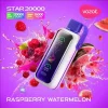 Vozol Star 20K (20000) Puffs Full Screen Display 24mL E-liquid 2% 5% Nicotine Type-C Charging Disposable Vape