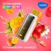 Vozol Star 20K (20000) Puffs Full Screen Display 24mL E-liquid 2% 5% Nicotine Type-C Charging Disposable Vape
