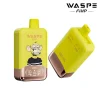 WASPE FIHP Double Flavor 40K (40000) Puffs Smart LED Display 2% 5% Nicotine 36mL E-liquid 850mAh Rechargeable Battery Disposable Vape
